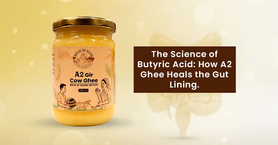The Science of Butyric Acid: How A2 Ghee Heals the Gut Lining.