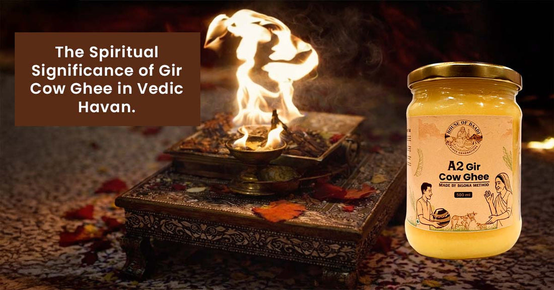 The Spiritual Significance of Gir Cow Ghee in Vedic Havan.