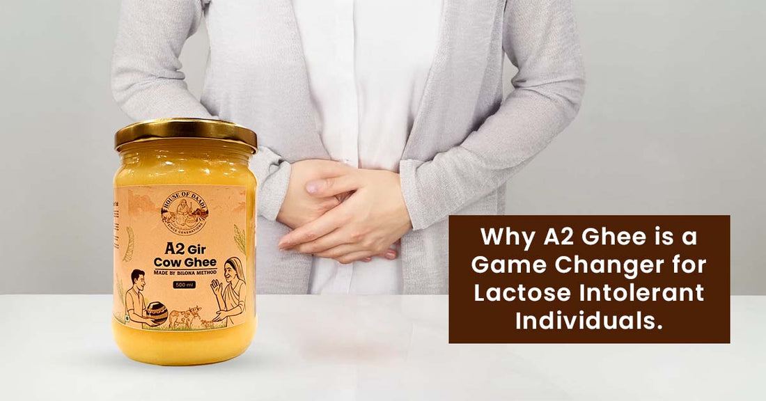 Why A2 Ghee is a Game Changer for Lactose Intolerant Individuals