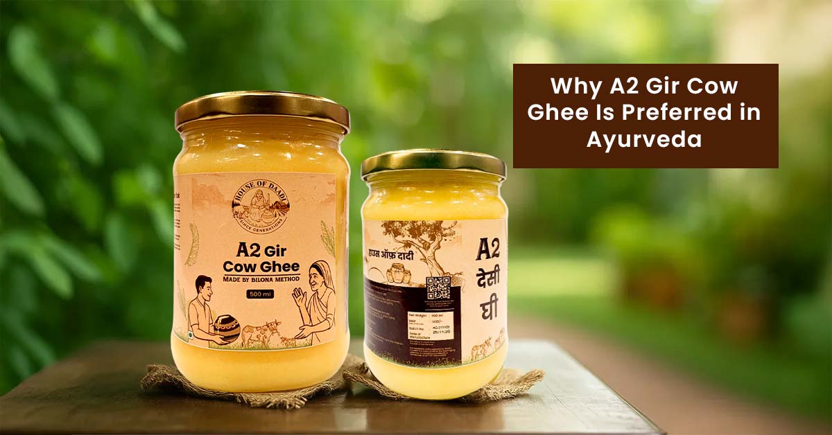 Why A2 Gir Cow Ghee Is Preferred in Ayurveda