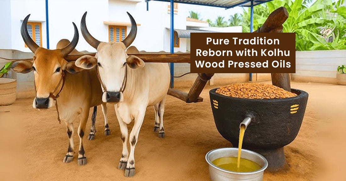 Traditional kolhu wood pressing with bulls extracting oil in small Indian mill